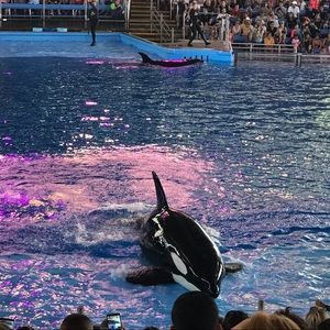 Meet your Posher, Marian